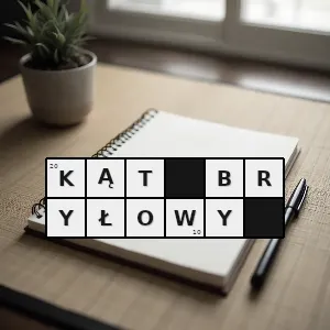 Rozwiązanie krzyżówki: powierzchnia stożkowa - kąt bryłowy | hasła, synonimy i podpowiedzi Hasło krzyżówkowe powierzchnia stożkowa - kąt bryłowy – rozwiązanie, synonimy, podpowiedzi i definicje krzyżówkowe